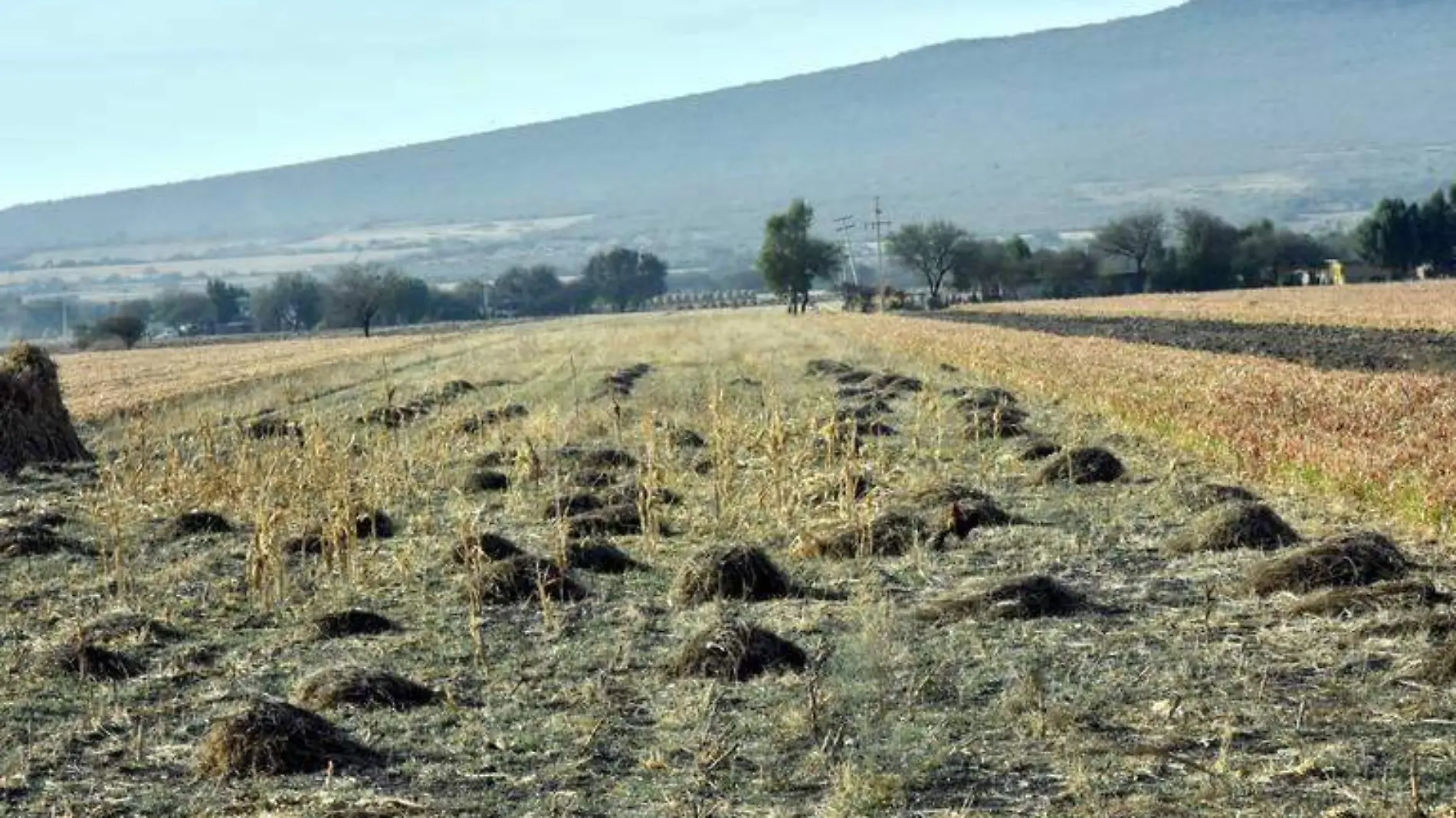 FOTO 1.- POCAS LLUVIA Y CAMPO SECO